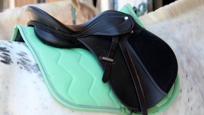 tapis-equitation-cheval-blanc