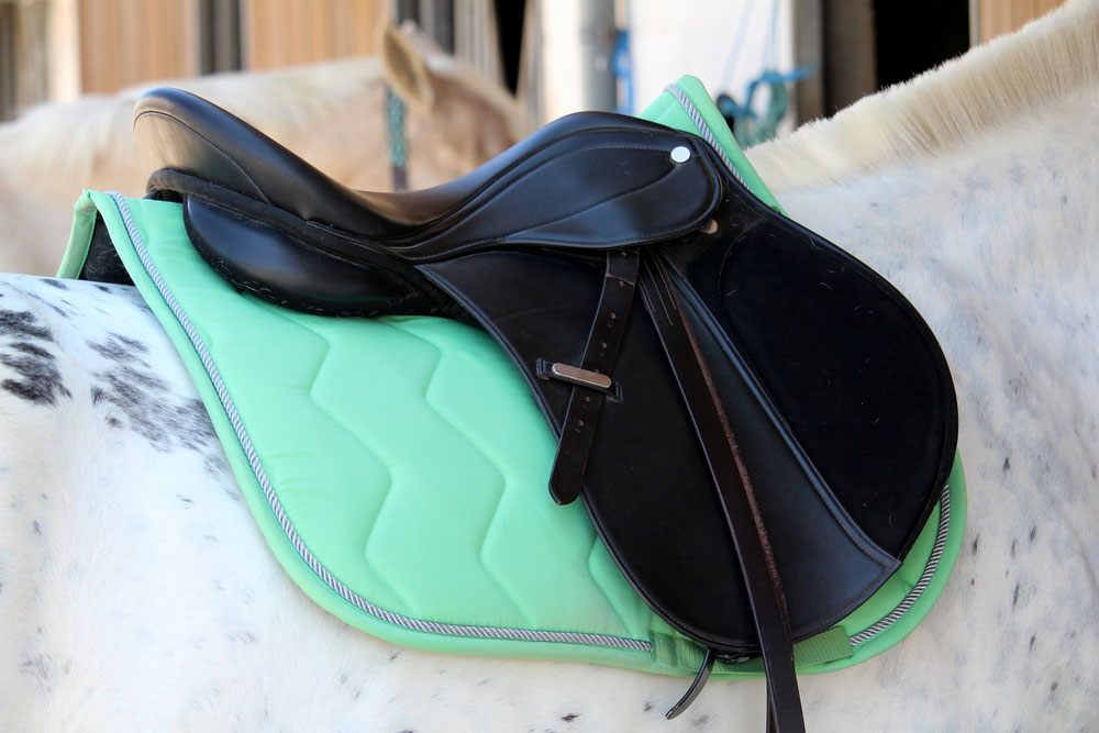 tapis-equitation-cheval-blanc