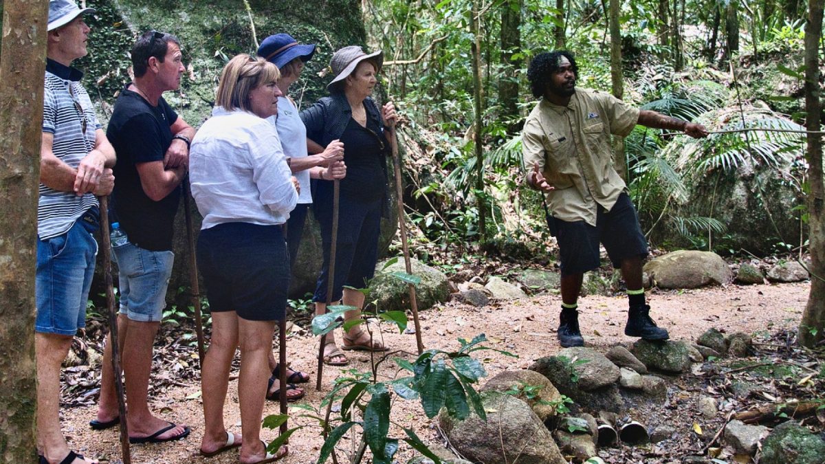 tourisme jungle